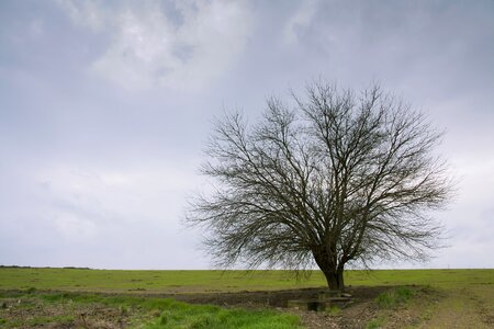 Autumn clouds nature