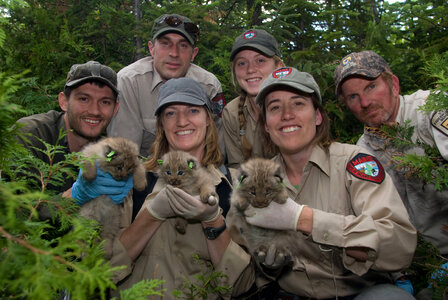 Canada Lynx project team