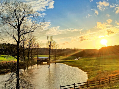 Mathis Creek Farms landscape in Alabama photo