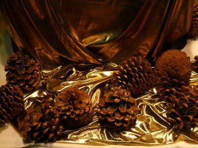 Window cloth golden