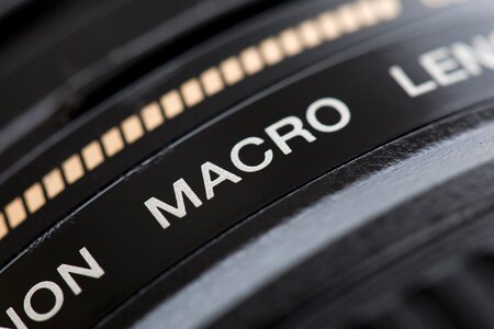 Macro photograph black