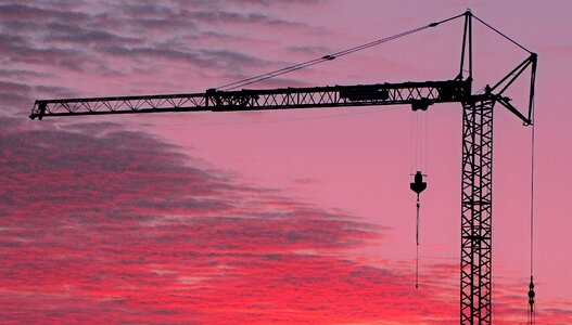 Silhouette crane abendstimmung