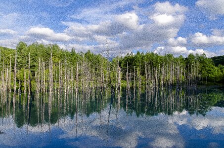 Hokkaido biei wood photo