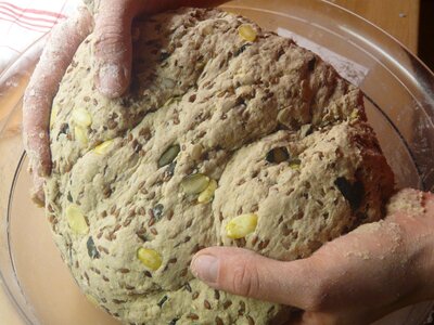 Bake dough knead