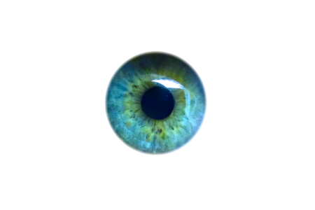 Look see pupil