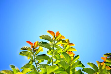 Bright day sunny day clear sky
