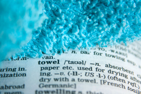 Towel Dictionary Word