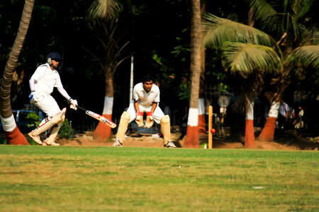 Sports Cricket photo