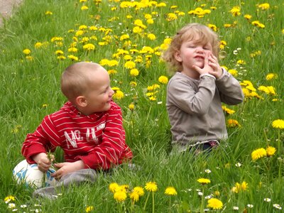 Young play meadow photo