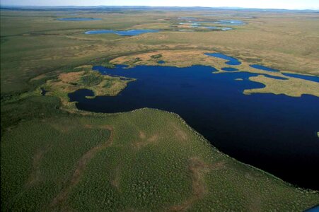 Domestic national park park