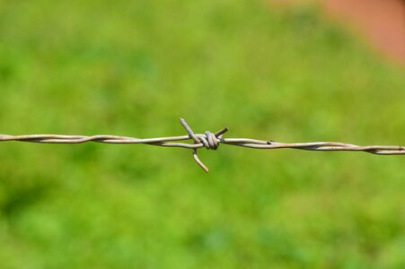 Fence security barbed wire