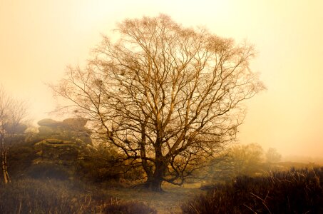 Weather seasons autumn photo