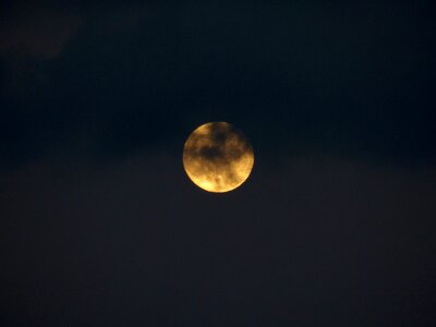 Night moonlight mystical photo