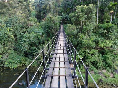 Sri lanka shaking bridge kotmalle
