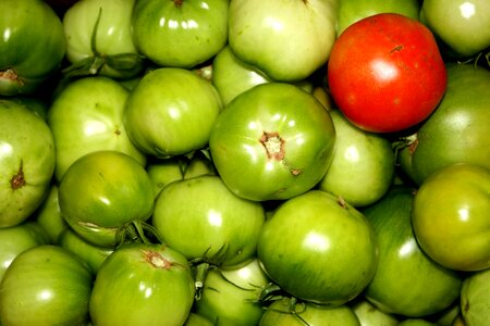Agriculture diet dietary