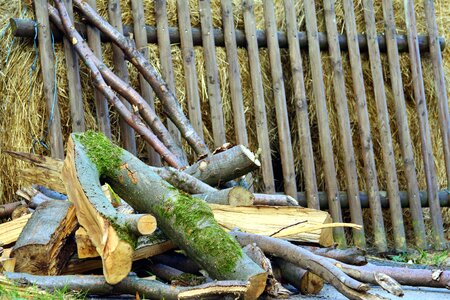 Backyard fence hay