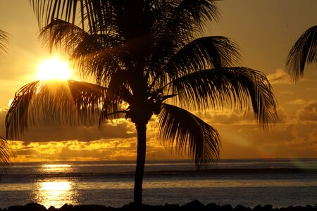 Silhouette tropical beach photo