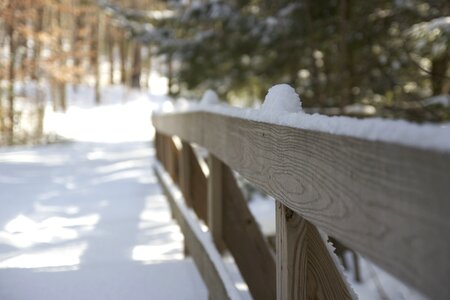 Fence forest road hiking photo