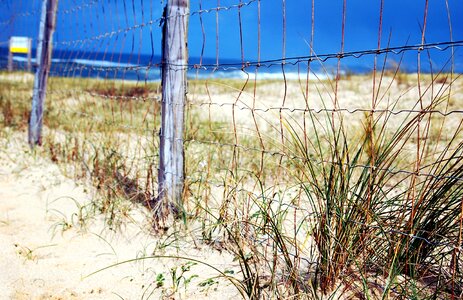 Sea dunes landscape photo