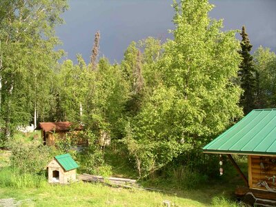 Cane forest home