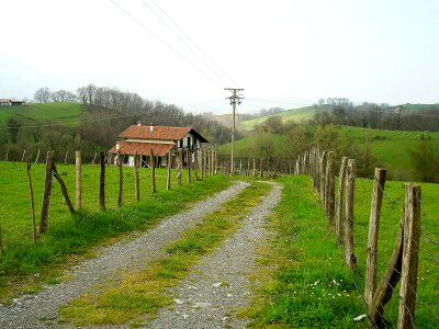 Forest house home photo