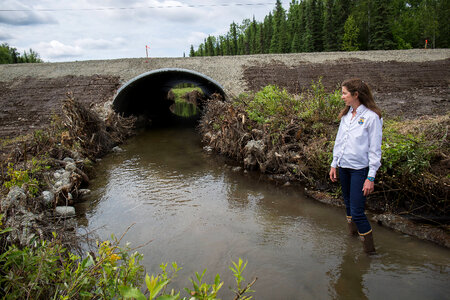Fish passage engineer inspects new salmon friendly culvert