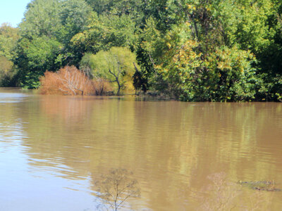 Flooded area at Swan Lake National Wildlife Refuge