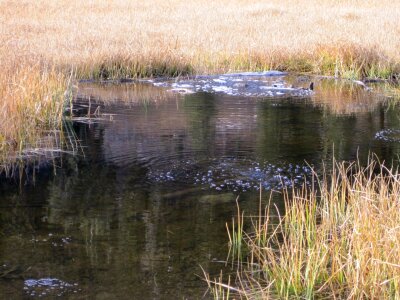 Cold Boiling Lake photo