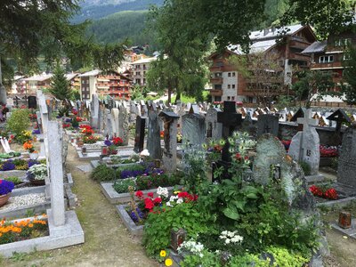Alps and Spiez village view in Switzerland photo