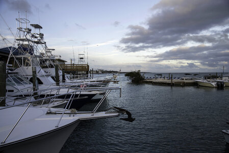 Boats in the Harbor in the Florida Keys photo
