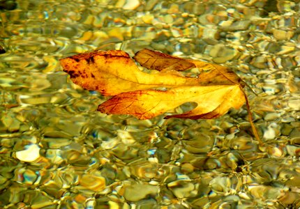 Colorful water color