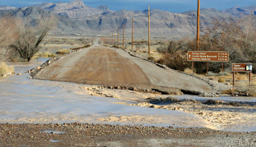Road Flooded in Ash Meadows National Wildlife Refuge photo