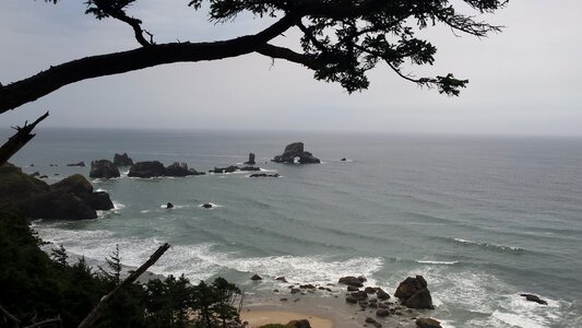 The Oregon Coast and the Pacific Ocean photo