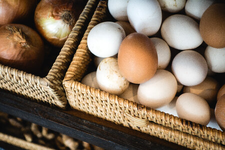 Fresh eggs in a grocery store photo