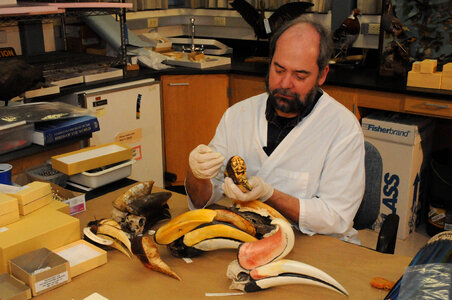 Ashland Forensics Lab-1