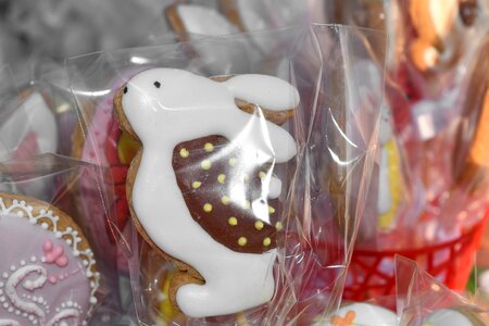 Bunny cookie easter