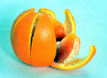 Fruit orange 