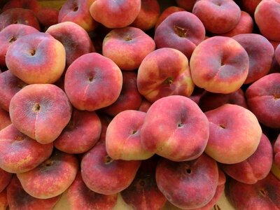 Fruits many vitamins