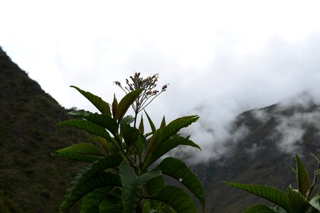 Inca trail to Machu Picchu, Cusco, Peru photo