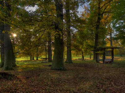 Autumn autumn season bench photo