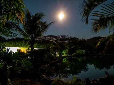 House pond night photograph