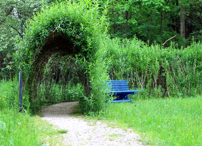 Plant tunnel canopy