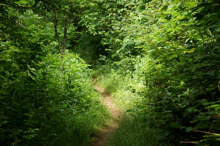 Appalachian Trail
