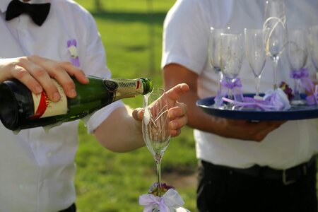 Champagne bartender white wine photo