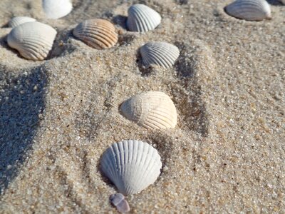 North sea sea water photo