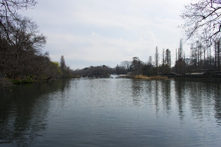 17 Inogashira Park