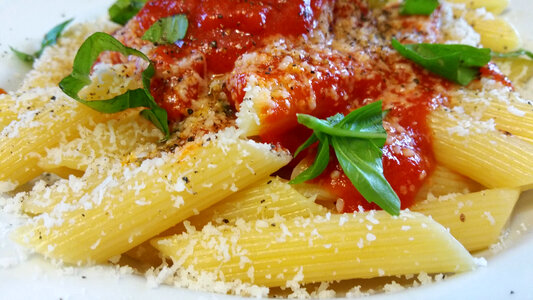 Pasta with Tomato sauce and cheese photo