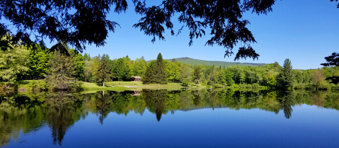 Peaceful Pond Landscape in Green Mountain National Forest photo