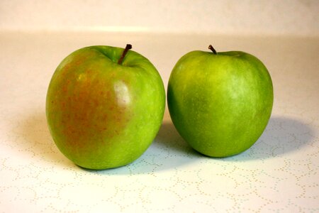 Apple evergreen fruit