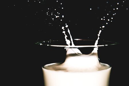 Splash of Milk photo